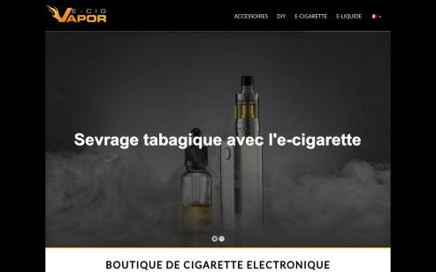 https://www.ecigvapor.org